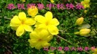ֹ,󷨵ӹףʦ(25)