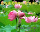 ֹ,մ󷨵ӹףʦ(21)