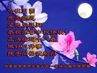 法轮功,内蒙古大法弟子恭祝师尊中秋好(28条)