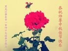 法轮功,黑龙江大法弟子恭祝师尊中秋快乐(23条)