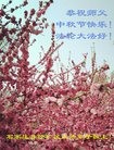 ֹ,ʯׯ󷨵ӹףʦ(28)