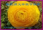 ֹ,д󷨵ӹףʦ(23)
