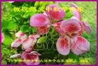 ֹ,д󷨵ӹףʦ(23)