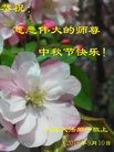ֹ,󷨵ӹףʦ(24)