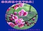 ֹ,ӱ󷨵ӹףʦ(25)