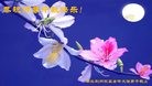 ֹ,󷨵ӹףʦ(26)