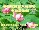 ֹ,Ĵ󷨵ӹףʦ(28)