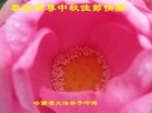 ֹ,󷨵ӹףʦ(22)