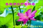 ֹ,󷨵ӹףʦ(27)