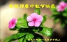 ֹ,󷨵ӹףʦ(21)