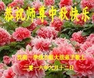 ֹ,󷨵ӹףʦ(28)