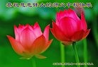 ֹ,ʯׯ󷨵ӹףʦ(26)
