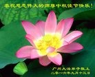 ֹ,ݴ󷨵ӹףʦ(26)