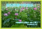 ֹ,󷨵ӹףʦ(23)
