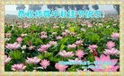 ֹ,󷨵ӹףʦ(23)