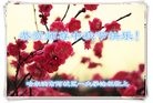 ֹ,󷨵ӹףʦ(24)