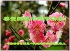 ֹ,󷨵ӹףʦ(24)