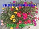 ֹ,󷨵ӹףʦ(25)