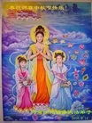 法轮功,河南大法弟子恭祝师尊中秋快乐(30条)