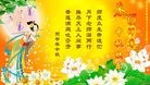 ֹ,󷨵ӹףʦ(24)