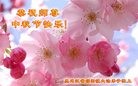 ֹ,󷨵ӹףʦ(30)