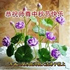ֹ,㶫󷨵ӹףʦ(27)