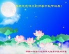 ֹ,ӱ󷨵ӹףʦ(24)