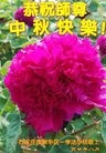 ֹ,ʯׯ󷨵ӹףʦ(29)