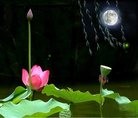 ֹ,󷨵ӹףʦ(27)