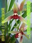 法轮功,西安大法弟子恭祝师尊中秋快乐(23条)