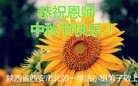 ֹ,󷨵ӹףʦ(23)