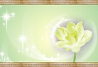 ֹ,ʡ󷨵ӹףʦ(27)