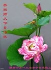 ֹ,ϴ󷨵ӹףʦ(28)