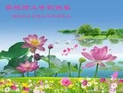 ֹ,ϴ󷨵ӹףʦ(28)