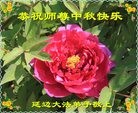 ֹ,ʡ󷨵ӹףʦ(30)