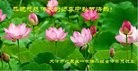 ֹ,󷨵ӹףʦ(32)