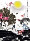 法轮功,河南大法弟子恭祝师尊中秋快乐(27条)