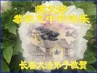 ֹ,󷨵ӹףʦ(28)