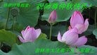 ֹ,д󷨵ӹףʦ(23)