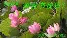 ֹ,д󷨵ӹףʦ(23)