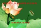 ֹ,󷨵ӹףʦ(26)