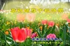ֹ,󷨵ӹףʦ(26)