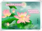 ֹ,ȷ󷨵ӹףʦ(29)