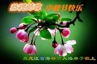 ֹ,󷨵ӹףʦ(23)