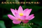 ֹ,ӱ󷨵ӹףʦ(31)