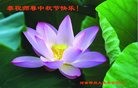 法轮功,郑州大法弟子恭祝师尊中秋快乐(29条)
