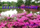 ֹ,󷨵ӹףʦ(28)