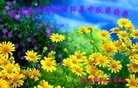 ֹ,󷨵ӹףʦ(28)