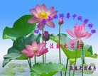 ֹ,󷨵ӹףʦ(28)