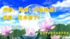 ֹ,󷨵ӹףʦ(22)